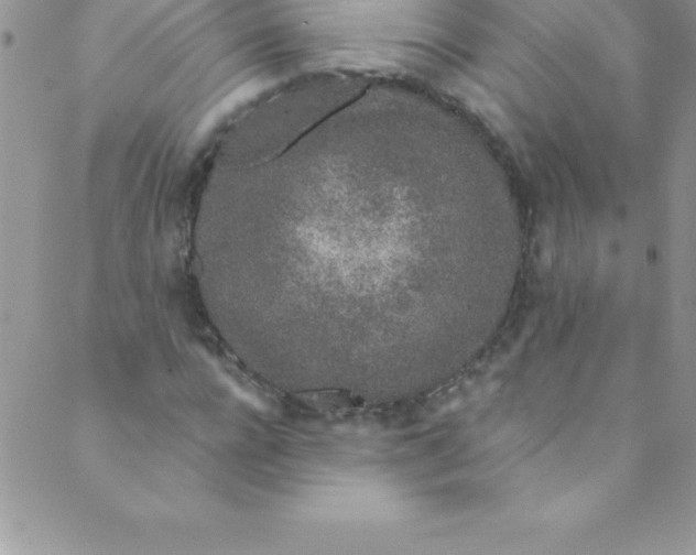 X0000088840920200707051444