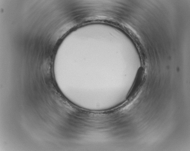 X0000088840921200707051444