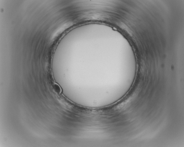 X0000088840922200707051444