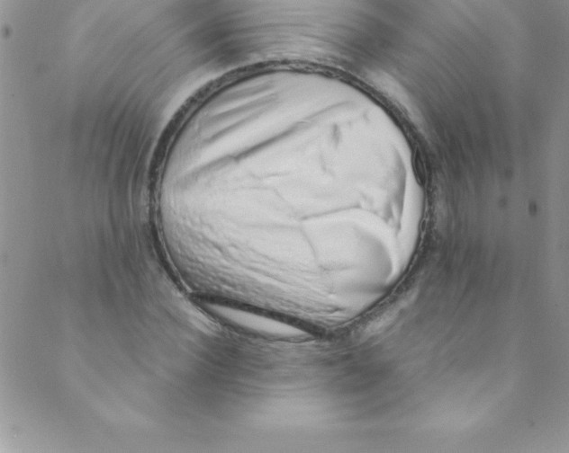 X0000088840924200707051444