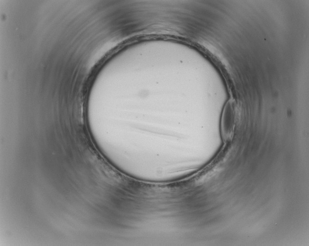 X0000088840925200707051444