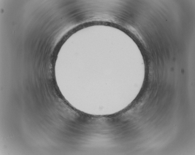 X0000088840926200707051444