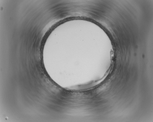 X0000088840927200707051444