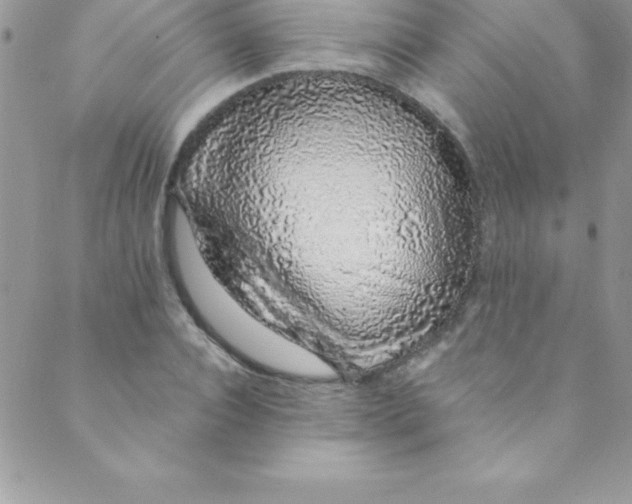 X0000088840928200707051444