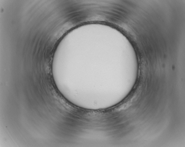 X0000088840929200707051444