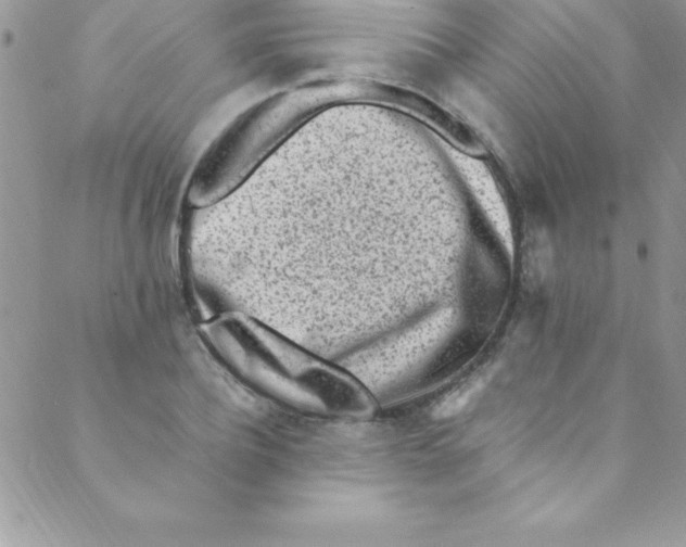 X0000088840932200707051444