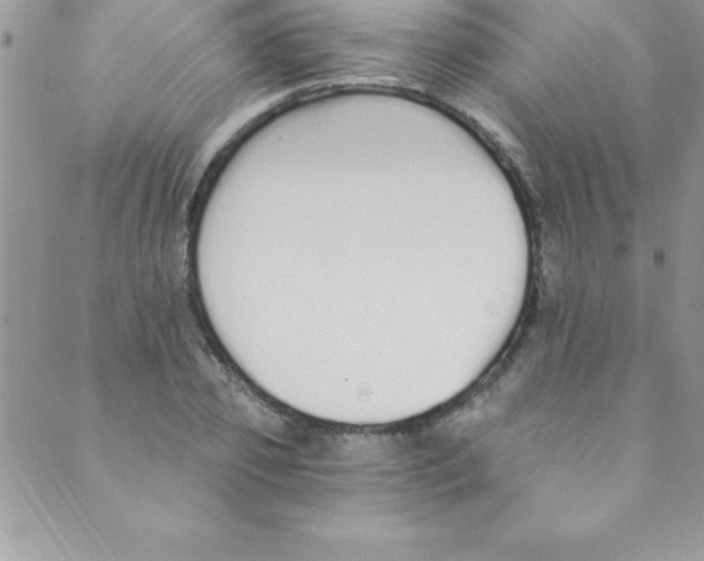 X0000088840933200707051444