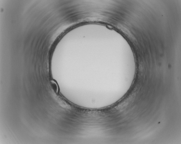 X0000088840934200707051444