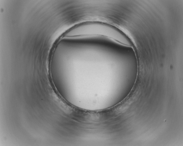 X0000088840935200707051444