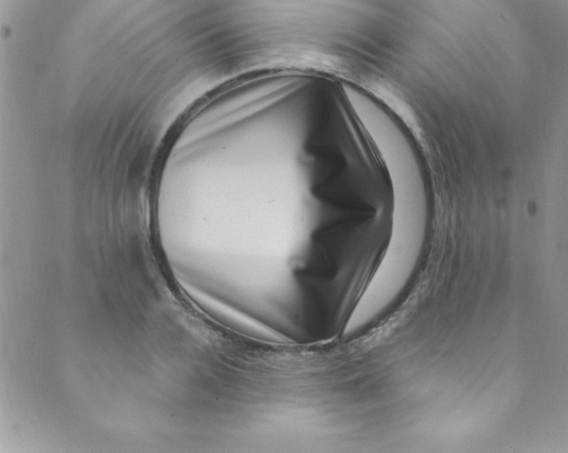 X0000088840936200707051444