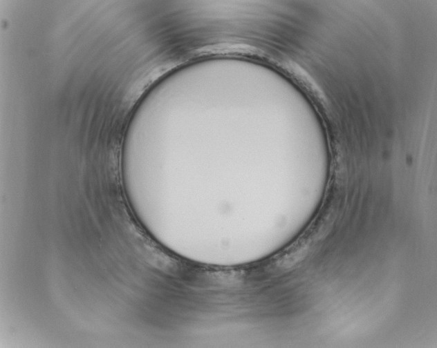 X0000088840937200707051444