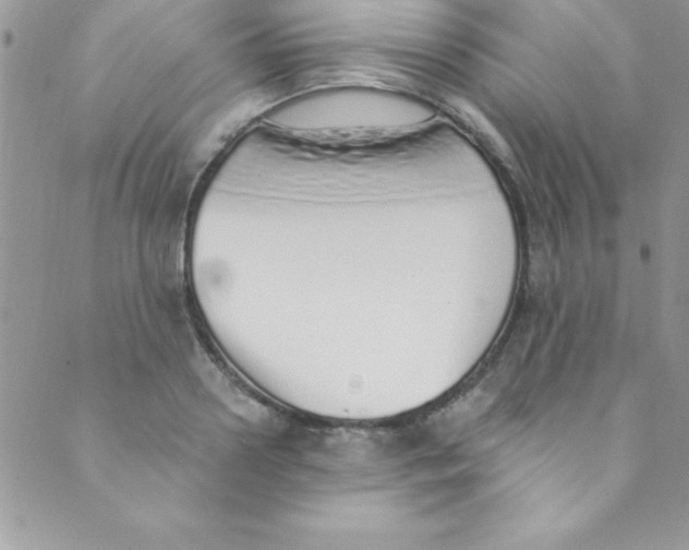 X0000088840938200707051444