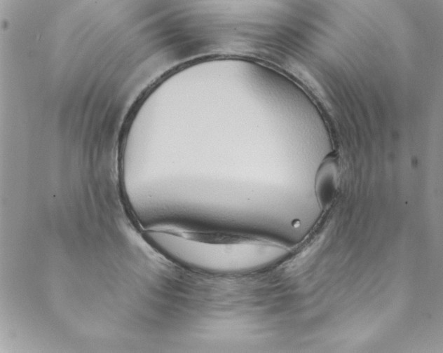 X0000088840939200707051444