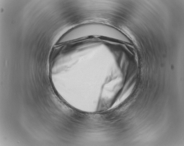 X0000088840940200707051444