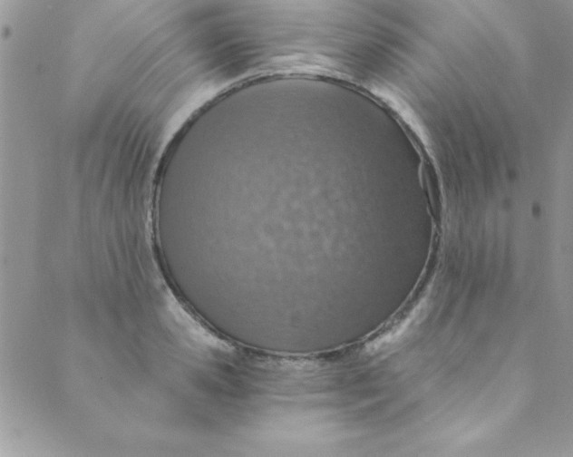 X0000088840941200707051444