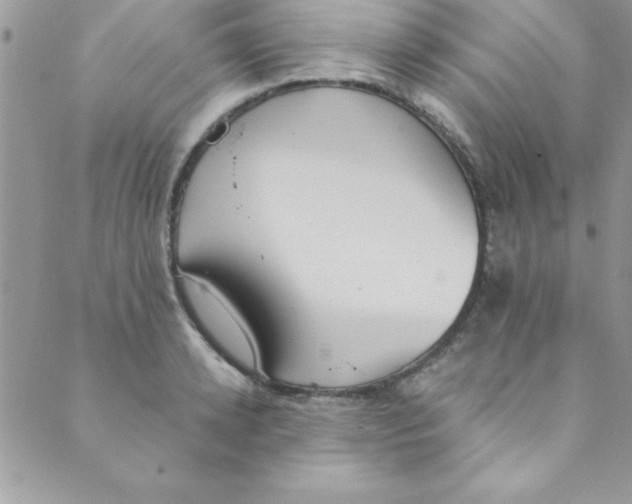 X0000088840942200707051444