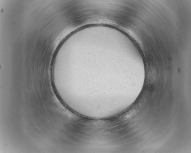 X0000088840943200707051444