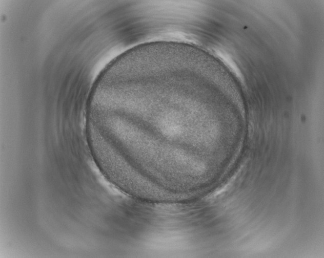 X0000088840944200707051444