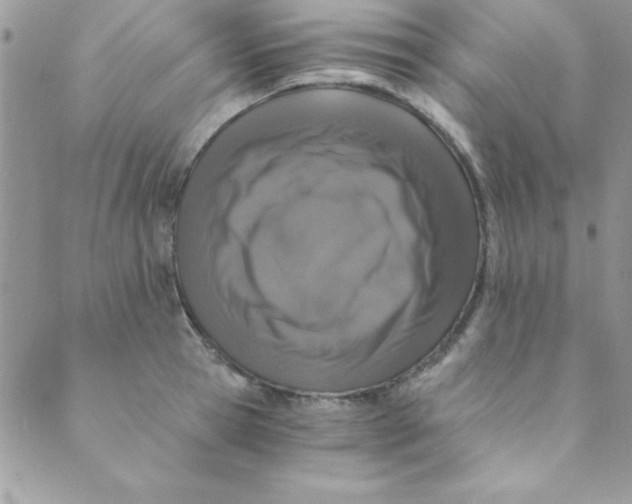 X0000088840945200707051444