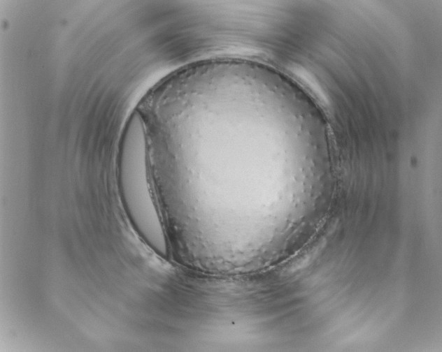 X0000088840948200707051444