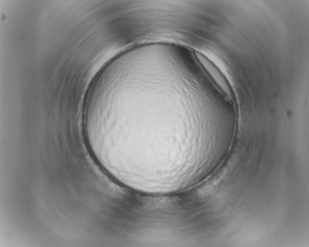 X0000088840949200707051444