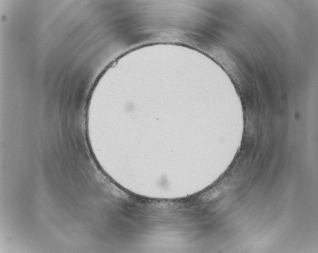 X0000088840950200707051444