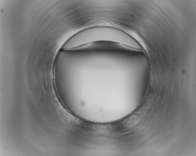 X0000088840951200707051444