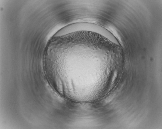 X0000088840952200707051444