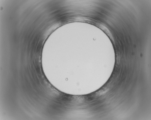 X0000088840954200707051444