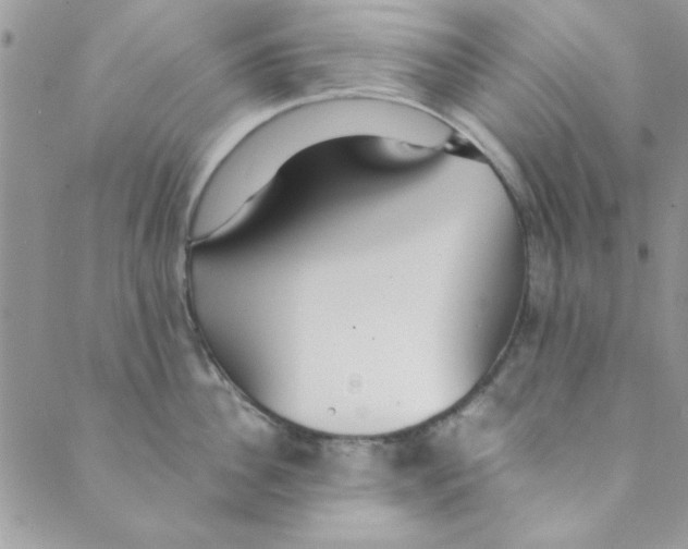 X0000088840956200707051444