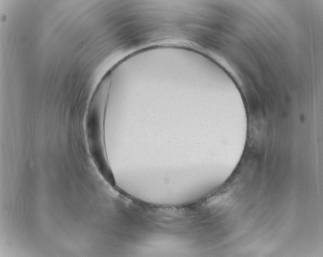 X0000088840959200707051444