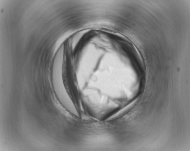 X0000088840960200707051444