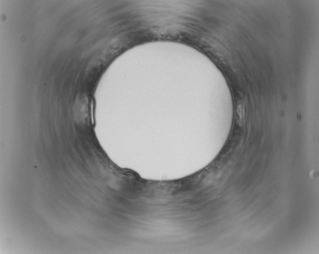 X0000088840963200707051443