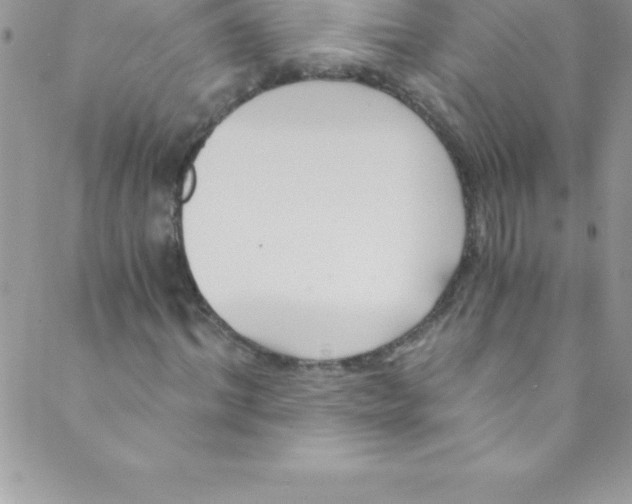 X0000088840964200707051443