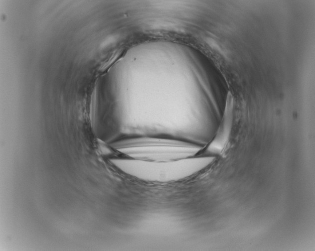 X0000088840965200707051443