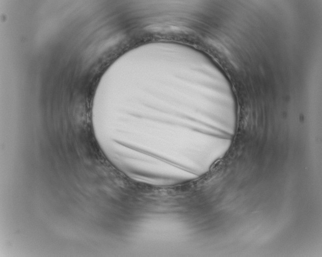 X0000088840966200707051443