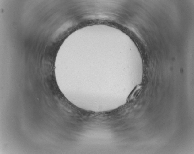 X0000088840967200707051443