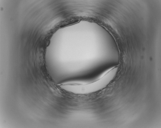 X0000088840968200707051443