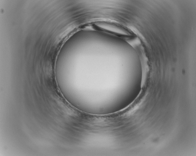 X0000088840969200707051443