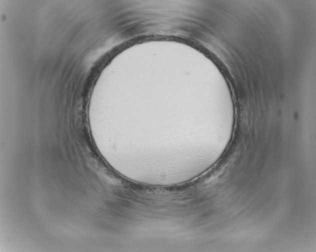 X0000088840971200707051443