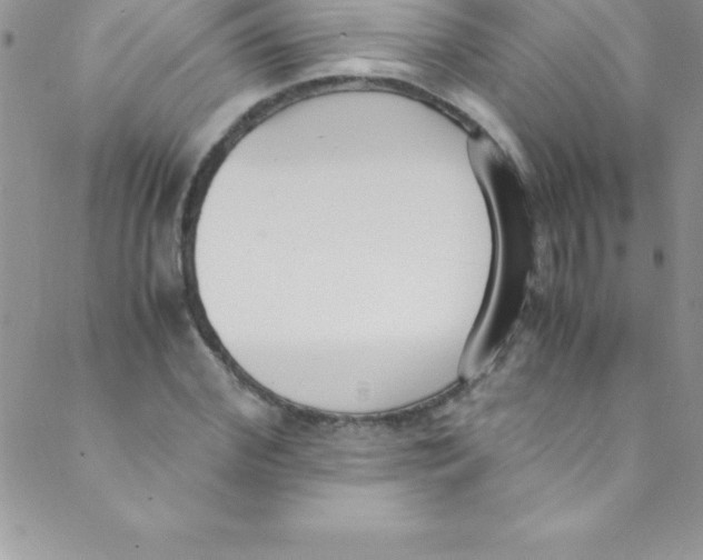 X0000088840972200707051443