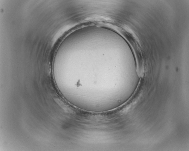 X0000088840973200707051443