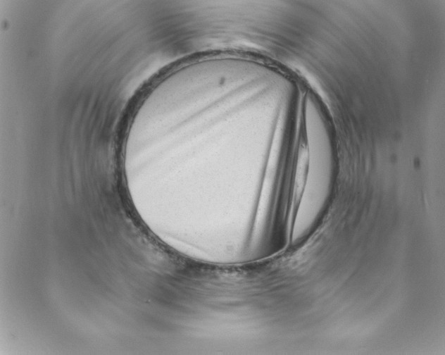 X0000088840975200707051443