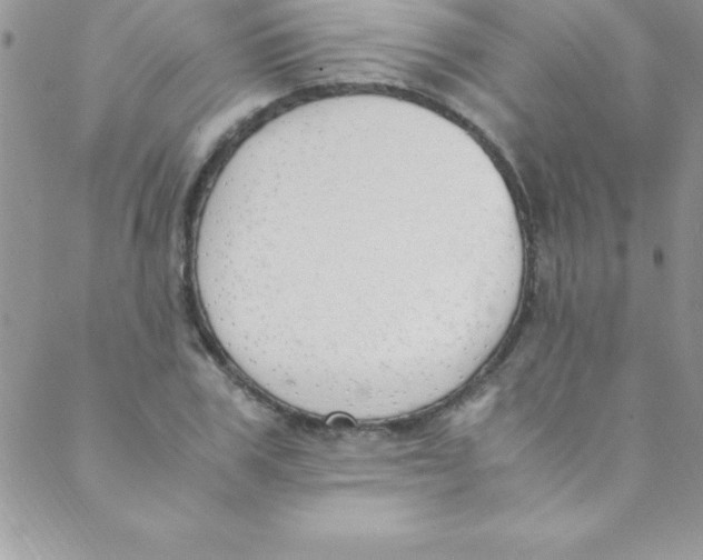 X0000088840979200707051443