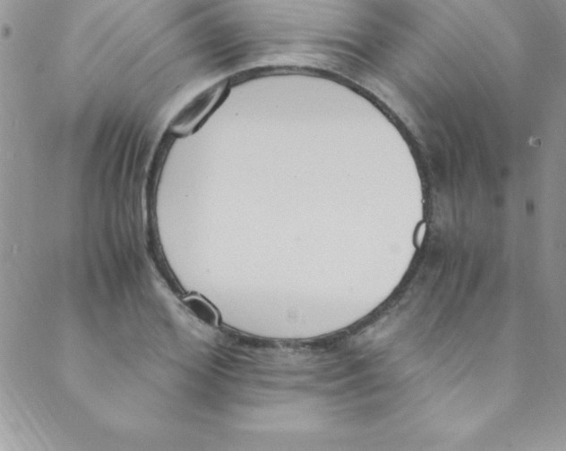 X0000088840980200707051443