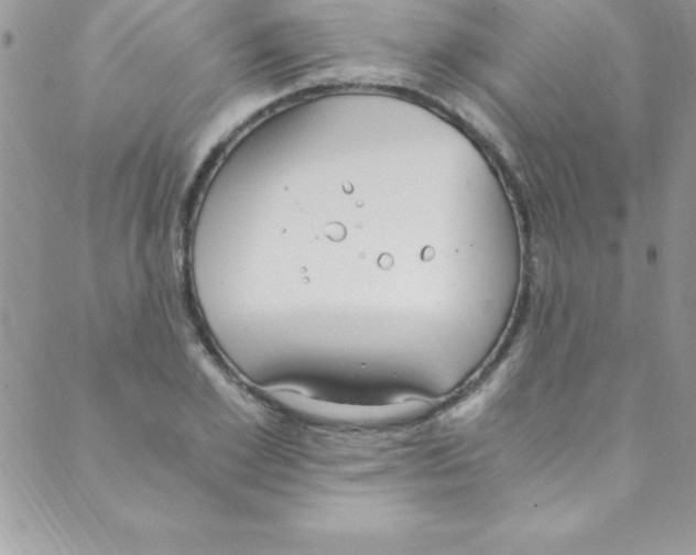 X0000088840981200707051443