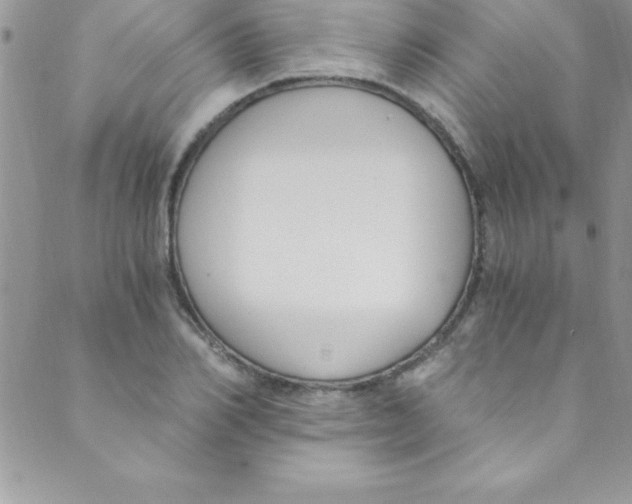 X0000088840982200707051443