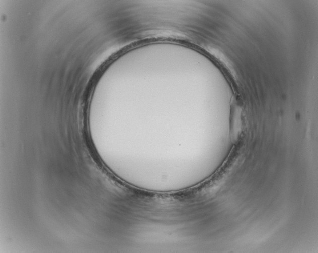 X0000088840983200707051443