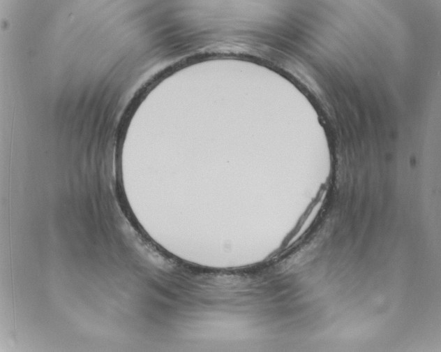 X0000088840984200707051443