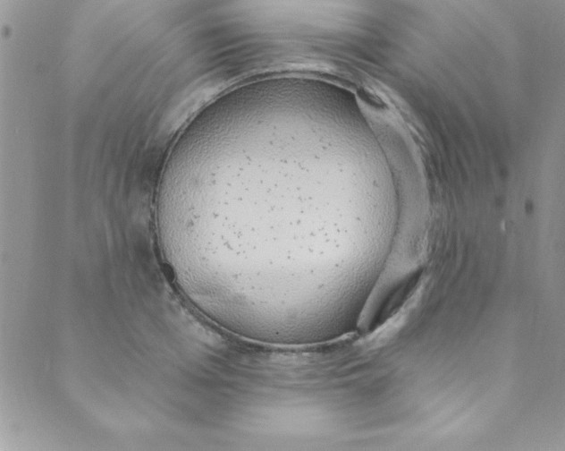 X0000088840985200707051443